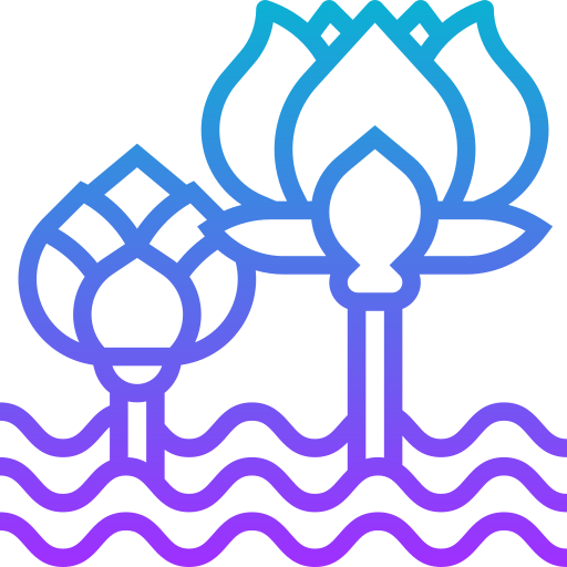 Lotus Meticulous Gradient icon