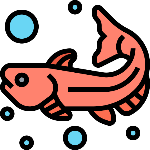 ryba Meticulous Lineal Color ikona