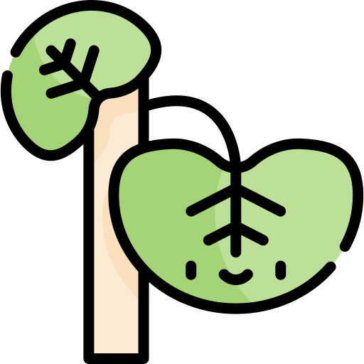 crescione Kawaii Lineal color icona