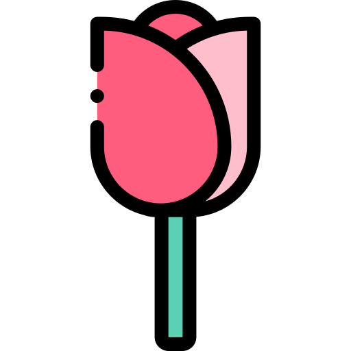 Rose Detailed Rounded Lineal color icon
