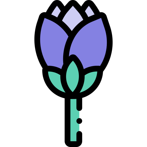 Protea Detailed Rounded Lineal color icon