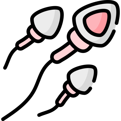 sperme Special Lineal color Icône