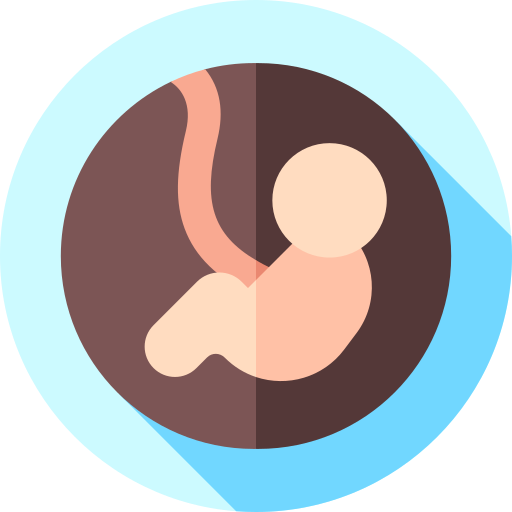 Fetus Flat Circular Flat icon