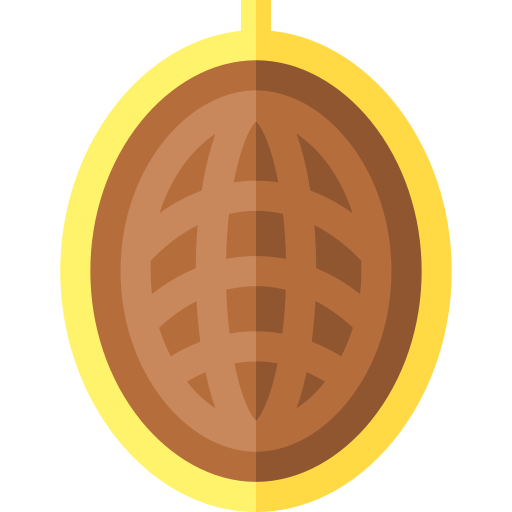 grano de cacao Basic Straight Flat icono
