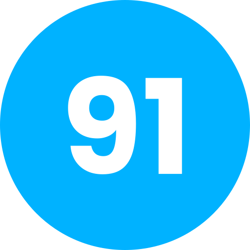 91 Generic Flat Ícone
