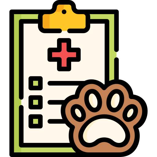 Medical checkup Special Lineal color icon