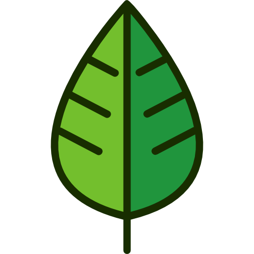 Leaf Good Ware Lineal Color icon