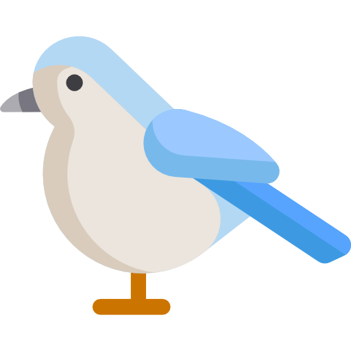 Bird Special Flat icon