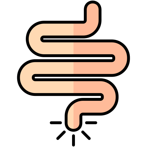 intestino Generic Outline Color icono