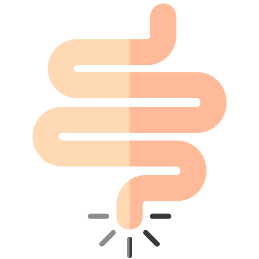 intestino Generic Flat Ícone