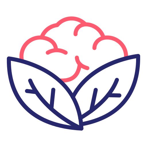 bloemkool Generic Outline Color icoon