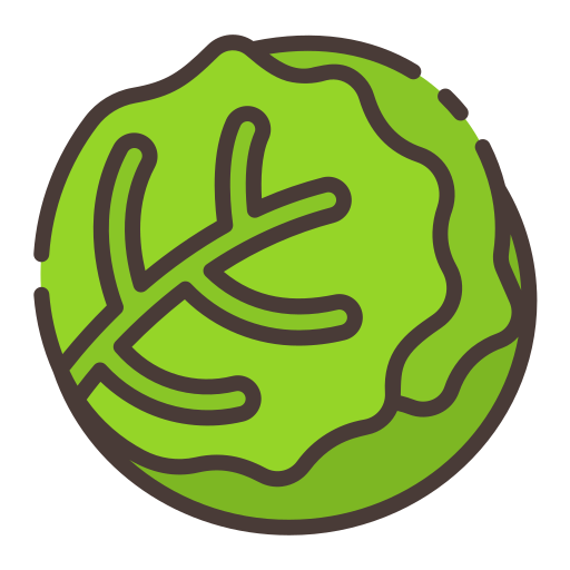 Cabbage Good Ware Lineal Color icon