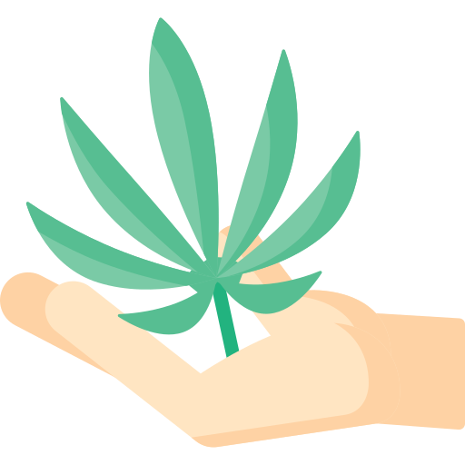 cannabis Special Flat icon