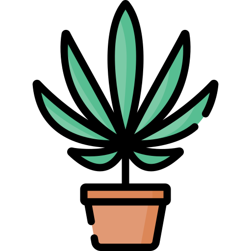 Растение Special Lineal color иконка
