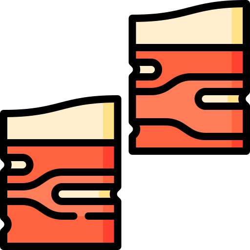 Iberian ham Special Lineal color icon