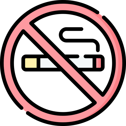 ne pas fumer Special Lineal color Icône