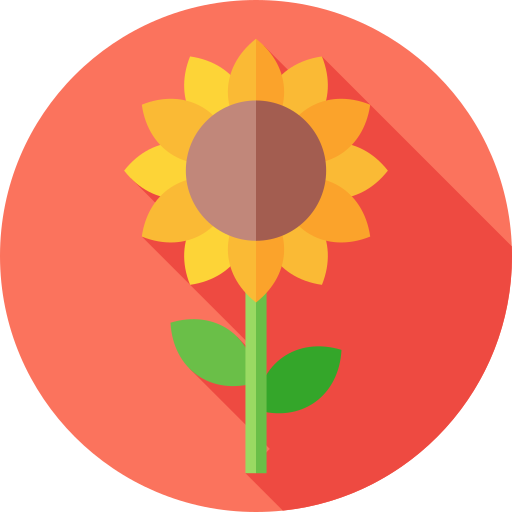 girasol Flat Circular Flat icono