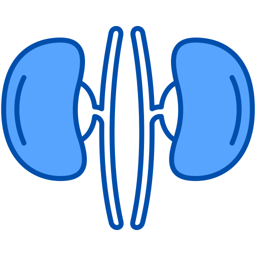 Kidneys Generic Blue icon