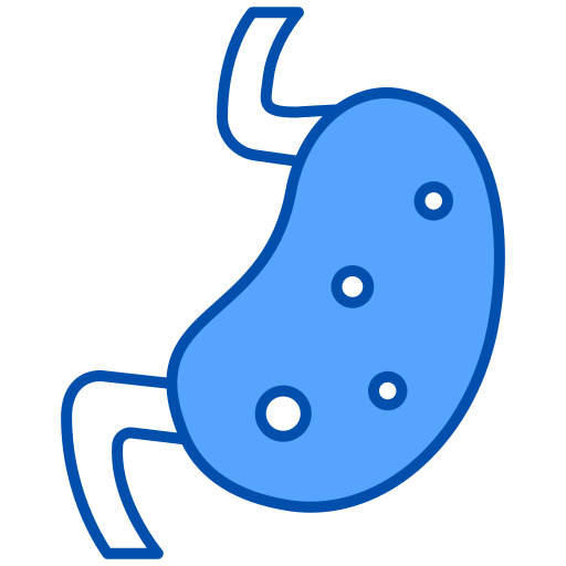 Żołądek Generic Blue ikona