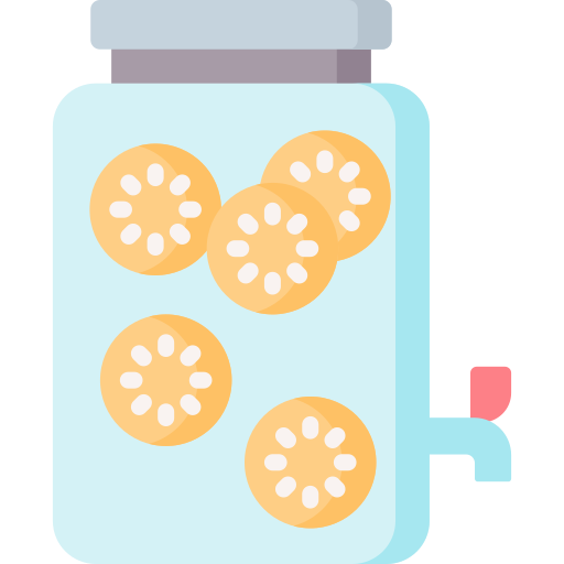 Infused water Special Flat icon
