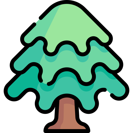 Fir Special Lineal color icon