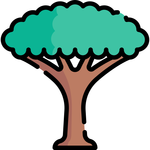 Dragon tree Special Lineal color icon