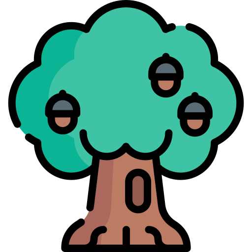 Oak Special Lineal color icon