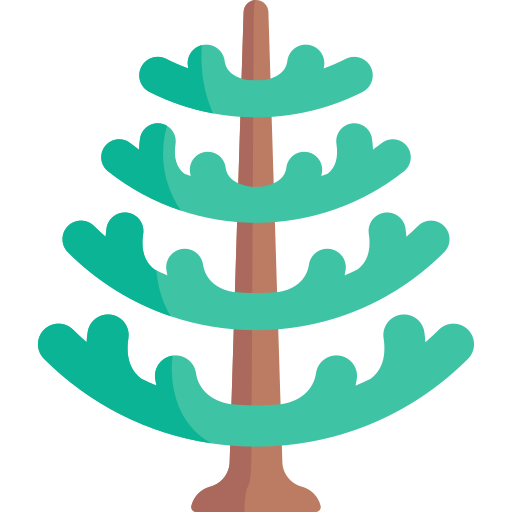 アラウカリアの木 Special Flat icon