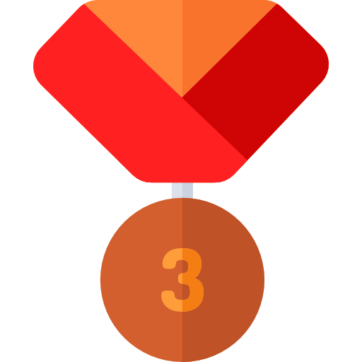 médaille de bronze Basic Rounded Flat Icône