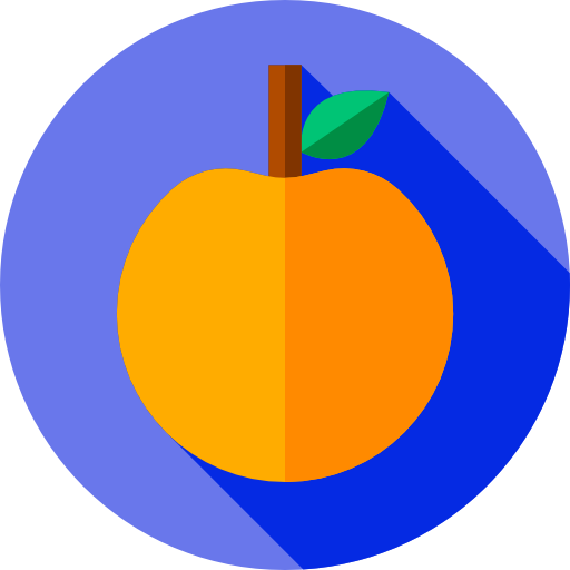 주황색 Flat Circular Flat icon