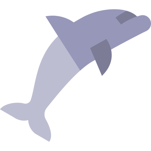 delfino Basic Straight Flat icona