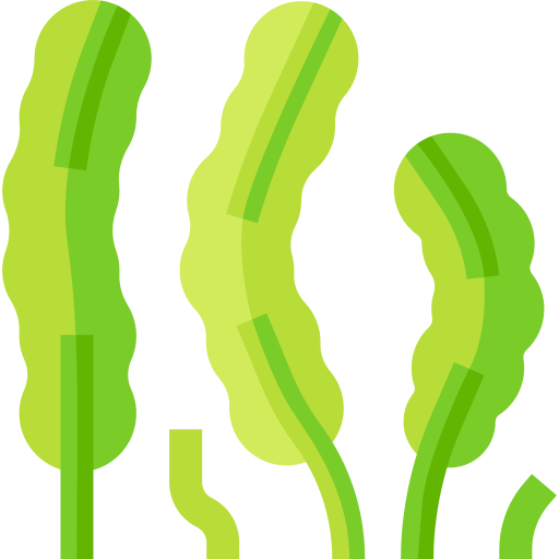 водоросли Basic Straight Flat иконка