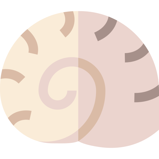 Conch Basic Straight Flat icon