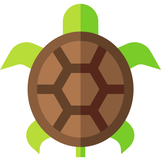 tartaruga Basic Straight Flat icona