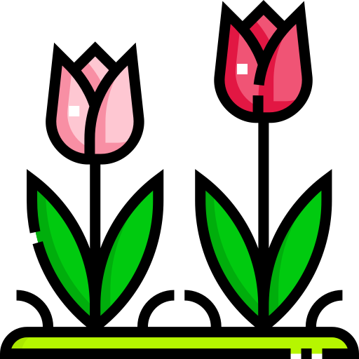 tulpe Detailed Straight Lineal color icon
