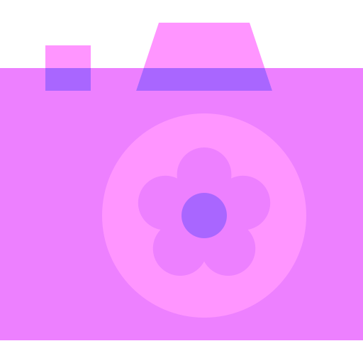 kamera Basic Sheer Flat ikona