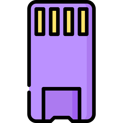 tarjeta de memoria Special Lineal color icono