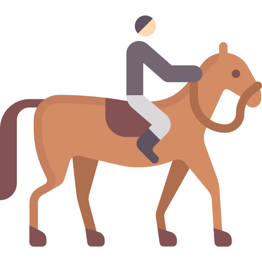 zu pferd Special Flat icon