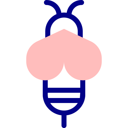 Bee Detailed Mixed Lineal color icon