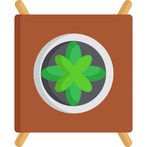 pflanze Special Flat icon