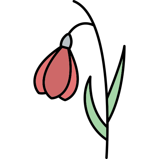 Snowdrop Generic Thin Outline Color icon