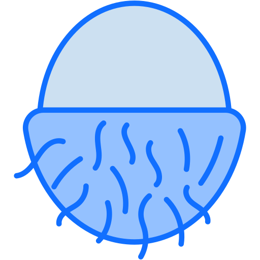 litschi Generic Blue icon