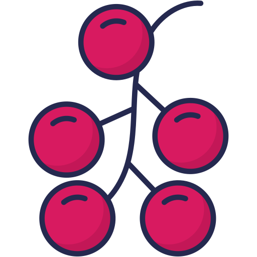 Redcurrant Generic Outline Color icon