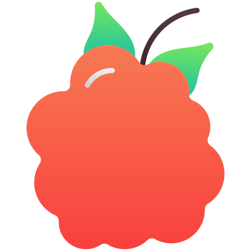 Raspberry Generic Flat Gradient icon
