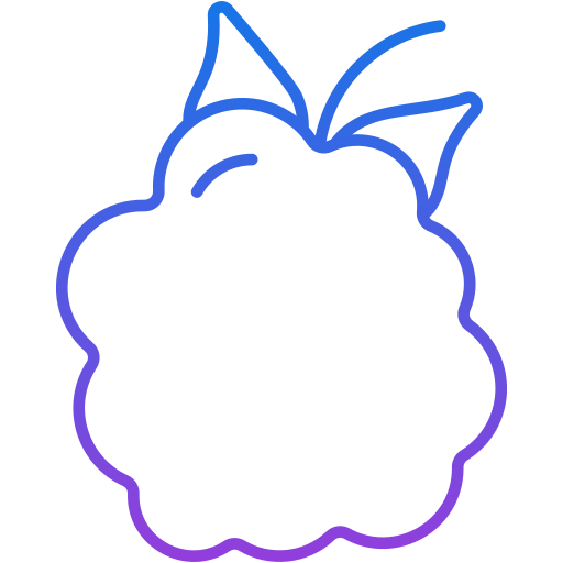 Raspberry Generic Gradient icon