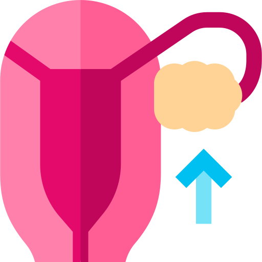 Ovary Basic Straight Flat icon