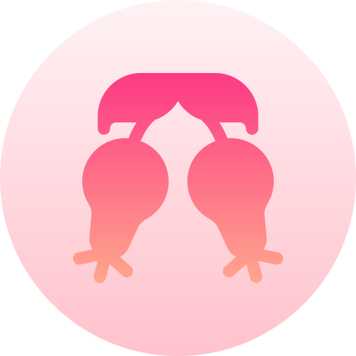 rosa mosqueta Basic Gradient Circular icono