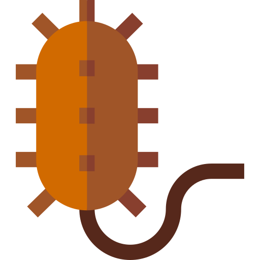 prokaryotisch Basic Straight Flat icon