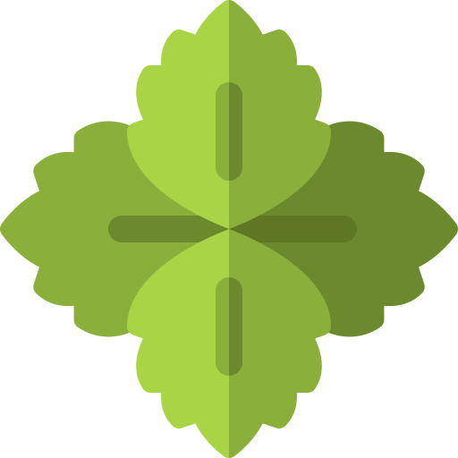 Mint Basic Rounded Flat icon