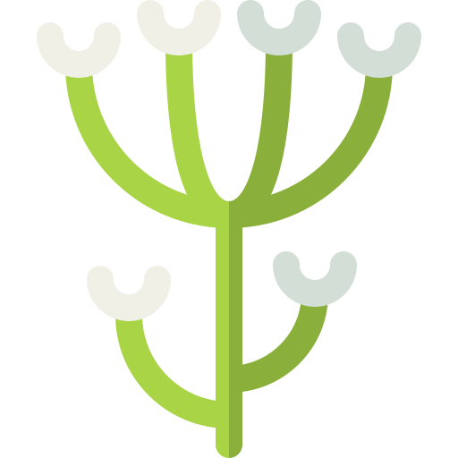 alcaravea Basic Rounded Flat icono